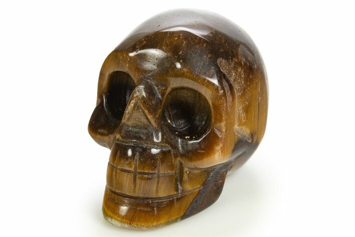 Polished Tiger's Eye Skull - South Africa #320182